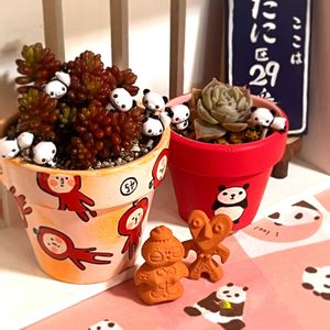 アップルベリー,アップルベリー,セダム アップルベリー,ピンクラバー,ピンクラバーの画像