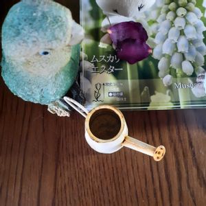 ポトス,ムスカリ・エスター,100均,えみえみと愉快な仲間達の画像