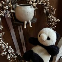 ナンキンハゼ,パンダの日,つぶつぶの日,水辺の水曜日の画像