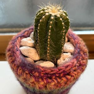 サボテン,花のある暮らし,鉢カバー,編み編みカバーの画像