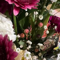 ヒペリカムの画像