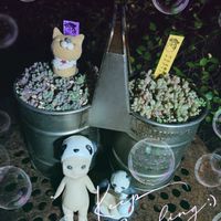 ストロベリーキャンドル,ピンクのかすみ草,エキウム ブルーベッダー,スプリングワンダー×だるま姫秋麗,だるま姫秀麗xスプリングワンダーの画像