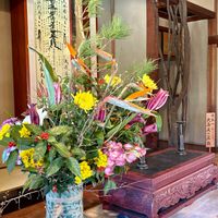 キク,ストレリチア,センリョウ,マツ,花散歩の画像