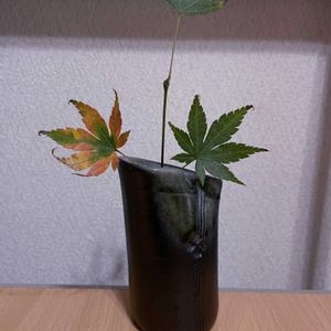 モミジ,一輪挿し,信楽焼,iPhone撮影,asingleflowervaseの画像