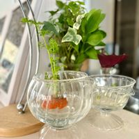 ニンジン,野菜,ネギ,水耕栽培,キッチン菜園の画像