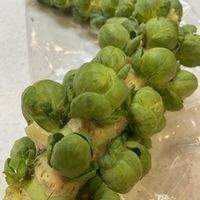 芽キャベツの画像