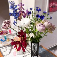 アネモネ,サイネリア,バラ,ラナンキュラス,チョコレートコスモスの画像