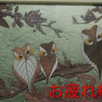 いちごの木,瓢箪,イチゴの木の実,菊　きく,フユイチゴの実の画像