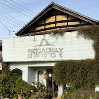 ワイヤープランツ,通りがかり,植えてはいけない？,お出かけ先の画像