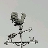 エントランス,小さな庭の画像