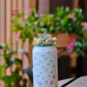 多肉植物,ベランダガーデニング,多肉植物のある暮らし,自作リメ缶,癒し…♡の画像