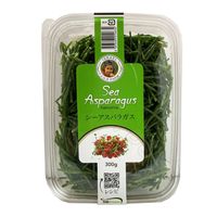 リプサリス,猿恋葦,サルコニオイデス,多肉植物,サリコルニアの画像