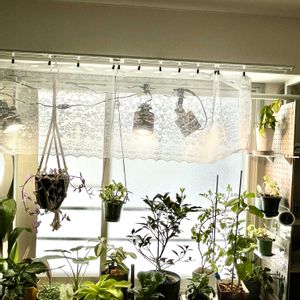 寝室,リビング・ダイニングの画像