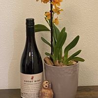 オンシジウム,幸せを呼ぶフクロウ祭り,ニードルフェルトの画像