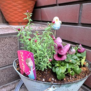 階段/廊下の画像