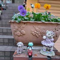 玄関アプローチの画像