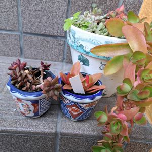 階段/廊下の画像