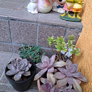 階段/廊下の画像