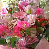 コデマリ,スイセン,ヒイラギ,ライスフラワー,青空の下の画像