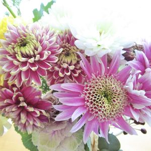 マム,正月飾り,切り花,ハンドメイド,スワッグの画像