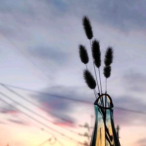 ラグラス,ドライフラワー,ガラスの花器,シルエット好き,キュンキュン乙女倶楽部の画像