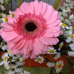 生け花,散策,注意喚起,ご注意ください,詐欺にご注意の画像