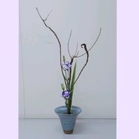 トルコキキョウ,トルコキキョウ,トルコキキョウ,ニューサイラン,セッカヤナギの画像