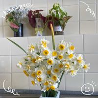 コリウス,スイセン,お花大好き♡,復興祈願,今日も笑顔で♡の画像