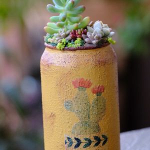 多肉植物,ベランダガーデニング,多肉植物のある暮らし,自作リメ缶,癒し…♡の画像