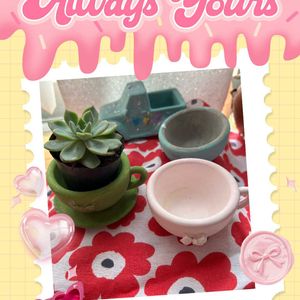 手作りセメント鉢,多肉好きな人と繋がりたい,横浜タニラー,バラと夢CLUB,夜なべっこの画像