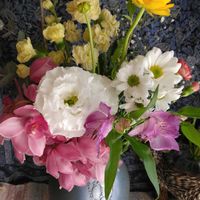 キク,ストック,センダン,トルコキキョウ,ラナンキュラスの画像