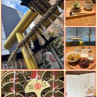 イチョウ,カフェ,生薬,おみくじ,繋がりに感謝✨の画像