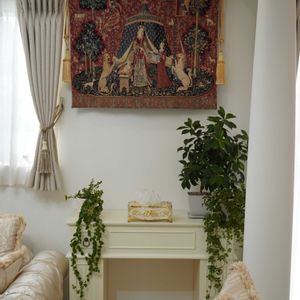 ヒイラギ,マツ,プミラ,フィカス・ナナ,シュガーパインの画像