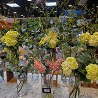 アジサイ,クロモジ,山野草,花のある暮らし,チーム愛知の画像