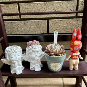 ビンセントカトー,多肉植物,リメ鉢,福箱,GSのみなさんに感謝♡の画像