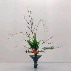 シャガ,フリージア,ツゲ,ワカマツ,ケイオウザクラの画像