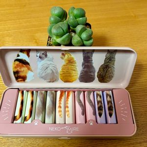 帝玉,エリマキ,実生,バルコニスト,猫缶の画像