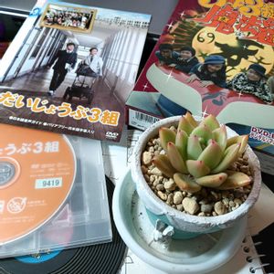 モンローシャネル,いちばん笑ったシーン,ジャージの色がテツトモと同じ,ペーロランドでもらった割り箸に刺して、、、,ガムテープでしっかり固定の画像