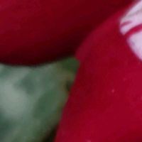 シクラメン,Thumbnail art WORKS,１８PICの画像