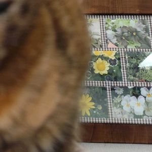 手作り,꒰ღ˘◡˘ற꒱かわゅ~,花のある暮らし,雑貨好き♡,居間の画像