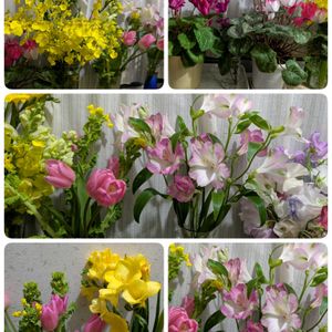 切り花を楽しむ,可愛いお花達,世界に平和を,いつもありがとう(^-^),その他部屋の画像