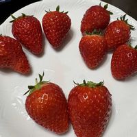 イチゴ,お出かけ先の画像