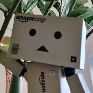 ✯*･☪:.` あたまこな .·˖*✩⡱