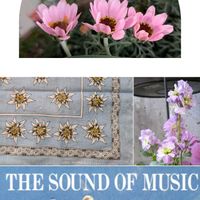 ローダンセマム,八重咲きストック,アエオニウム 伊達法師,映画の日の画像