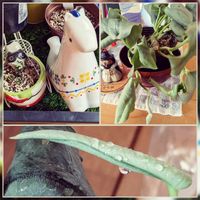 スキンダプサス・オルモストシルバー,スキンダプサス・オルモストシルバー,花のある暮らし,植物好き,PRの画像