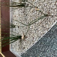 トクサ,トクサの画像