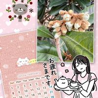 ハナミズキ,ビワの花,いつもありがとう♡,赤い実,GSのみなさんに感謝♡の画像