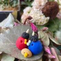 シクラメン,シクラメン プラチナリーフ アフロディーテ,プラチナリーフ,銀葉,富山支部の画像