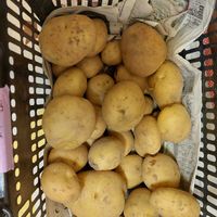 ジャガイモ,ピラカンサの画像