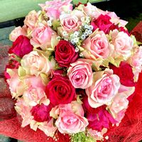 カスミソウ,カスミソウ,バラ,手水舎,神社の画像